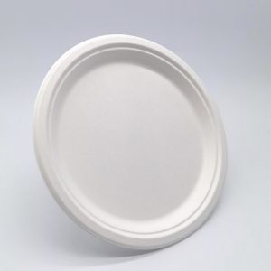 6 Inch Biodegradable Bagasse Tableware