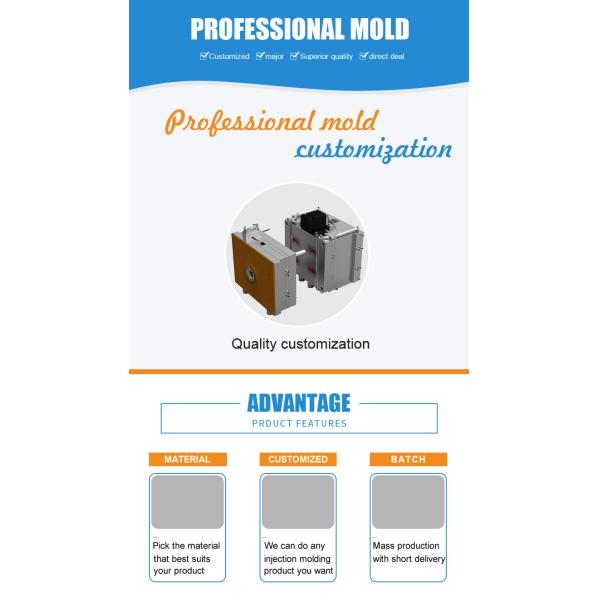 Heating Manifold Precision Plastic Mould