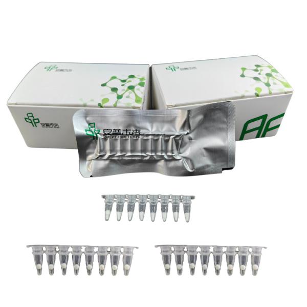 Quality Stable Easy Operate DNA Nucleic Acid Amplification NFO Kit for sale