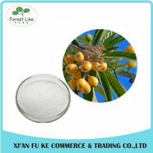 Free Sample Loquat Leaf Extract Ursolic Acid 90 %