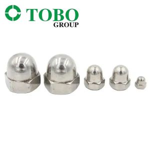 18-8 Bright Zinc Plated Dome Acorn Nut Hex Cap Nuts M6 M8 M10 Customize