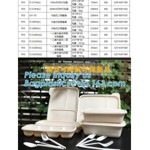 Take Away Fast Food, Compartment Packing Box, Containers, Starch Biodegradable,