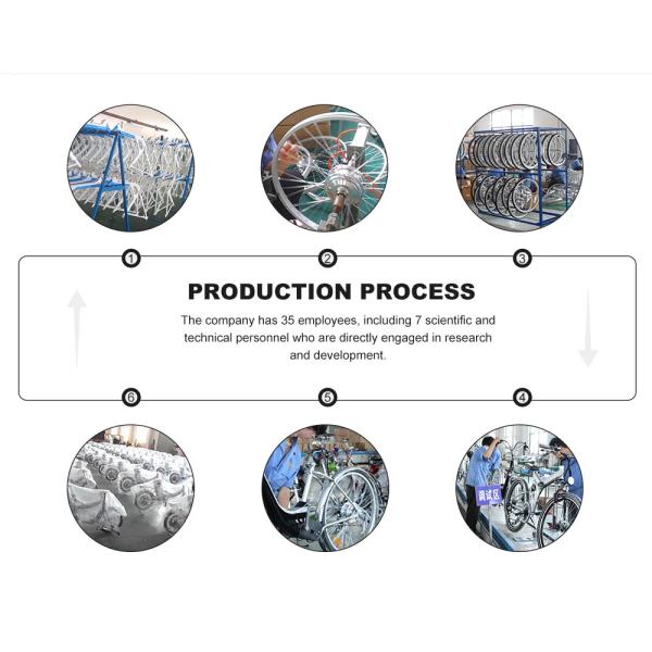 DOMANCA 2024 Electric Bike 7 Speed E bike with Rear Hub Motor and Max Speed of 30-50Km/h