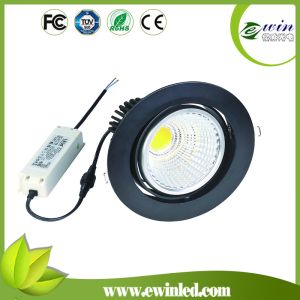 40W COB LED Downlight