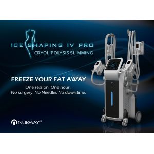 Quality 4 handles Cryolipolysis Slimming machine for sale
