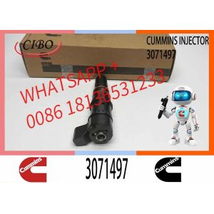 Fuel Injector Assembly M11 PT 3064881 3071497 Fuel Injector