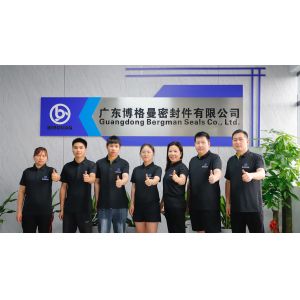 Guangzhou Bogeman Mechanical Seal Co., Ltd.