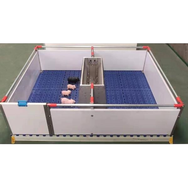 PVC Panel Pigs Nursery Crate Weaning Pens With Plastic Slatted Floor