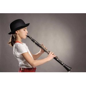 constansa instrumentProfessional Performance Level Ebony Wood Silver Plated 18