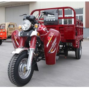 200cc Engine Tricycle Motorcycle with ZONGSHEN/LIFAN/LONCIN/YINXIANG of Strong Power