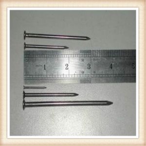 Quality Common Nail for sale