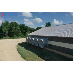 Commercial Poultry House Steel Structure with Feeding and Drinking Systems