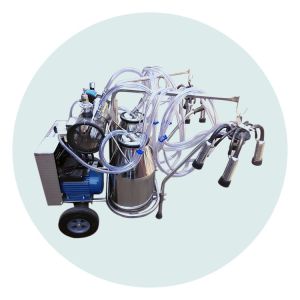 Gas Pulsation 1.1KW Electric Goat Milking Machine With Removble Bucket