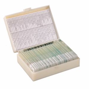 Homeschool Teaching 30pcs Human Tissue Microscope Slides On Basic Science
