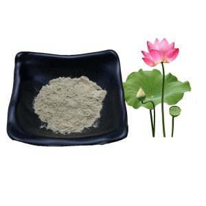 Water Soluble Lotus Natural Extracts Natural Slimming Powder 2% 5% Nuciferine