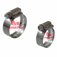 American hose clamp