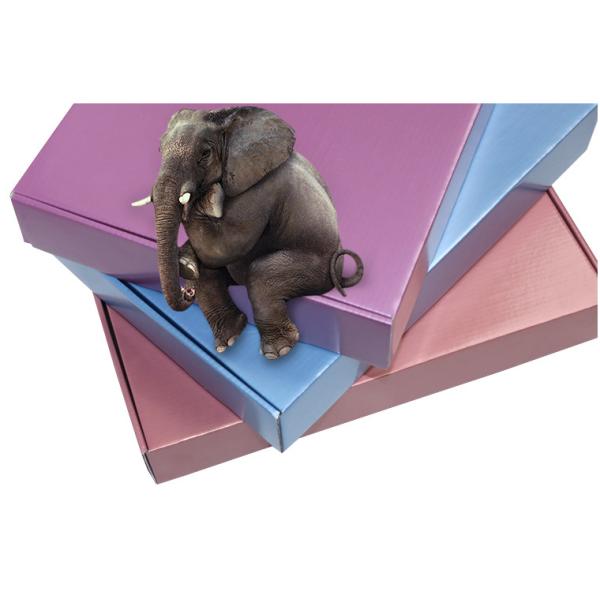 Custom Printing Folding Custom Corrugated Box With Waterproof Metal Film