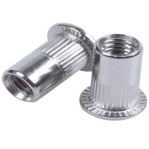 M14 M16 Passivate Plain SS304 Knurled Flat Head Rivet Nut