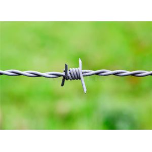 14 Gauge Galvanized Security Barbed Wire Plastic Barbed Wire Security Fence