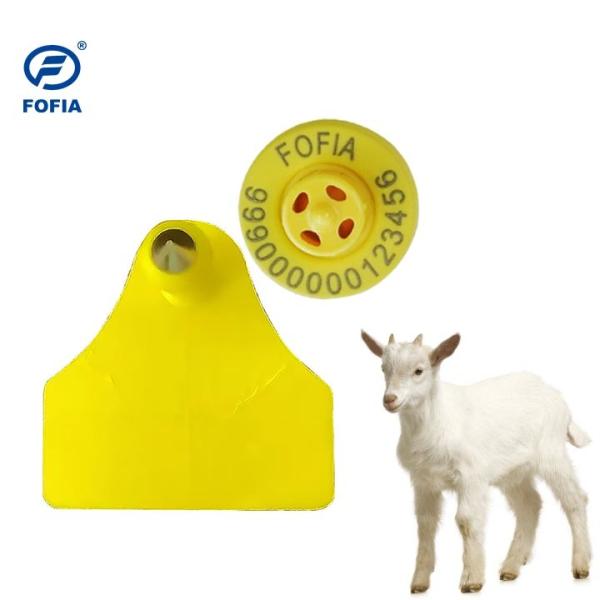 Advanced Electronic Ear Tags Sheep tags for Streamlined Livestock Identification