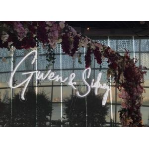 12V Advertising Neon Flex Sign Diy