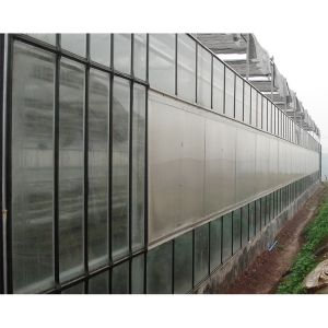 Backyard Multi Span Greenhouse Outdoor Rainproof Large Glass Greenhouse