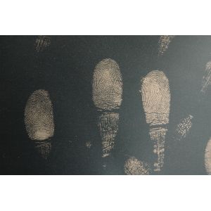 C123 Glod/silver spherical fingerprint powder