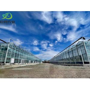 State-of-the-Art Glasshouse Large Glass Covered Water Sprayer for Controlled