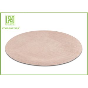 Sturdy Fancy Throw Away Plates , Premium Hotel Disposable Catering Plates