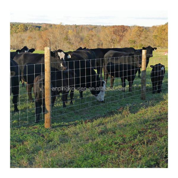 Buy Length 10-200m Agriculture Field Livestock Wire Fence with Durable Fixed Knot Design at wholesale prices