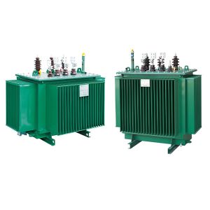 10kv Oil Immersed Transformer Two Winding High Efficiency