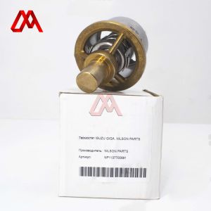 1-13770089-1 1-13770080-1 1137700891 1137700801 Thermostat for ISUZU CXZ81 10PE1