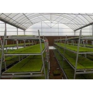 China Custom Shaped Glass Seedling Greenhouse / Nursery Bed Breeding / Movable Seedbed on sale