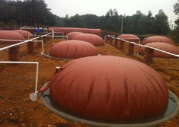 Buy Household Biogas Digester Tank Clean Energy Saving Biogas Reactor at wholesale prices