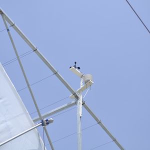 Polyethylene Plastic Film Multi Span Greenhouse With Automatic Water Irrigation