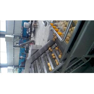 Rooted Plant Fruit And Vegetable Processing Machinery Washing Equipment Large