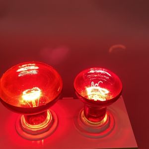 E27 Reptile Heat Lamp 50W 75W 100W 150w Basking Bulb For Bearded Dragon