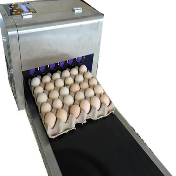 Clear Pattern Eggs Inkjet Batch Coding Machine With ABC Standard English Font