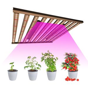 1000w Lm301B LED Cannabis Plant Daisy Chain Grow Lights