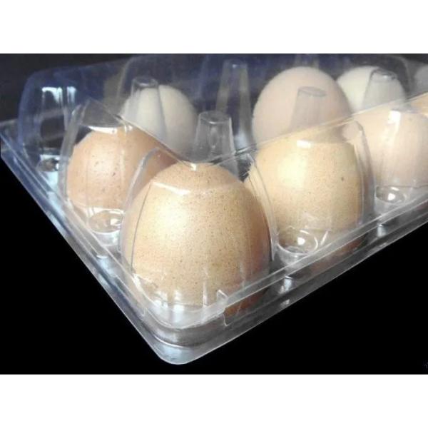 30 Hole PET PVC Plastic Egg Tray For Egg Packaging With Recyclable Material