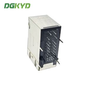 DGKYD21Q064DB2A4DP068 2X1 Multi-Port Socket Gigabit Ethernet Filter POE With