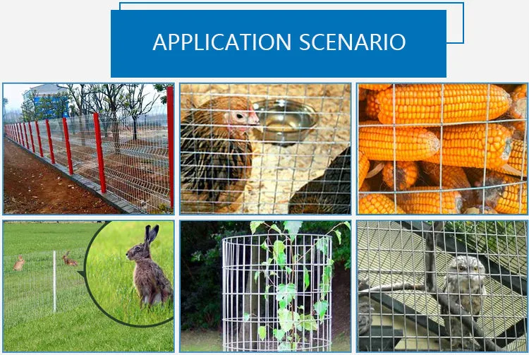 Factory Sale 100 X 100mm Galvanized Silver Welded Wire Mesh For Farm