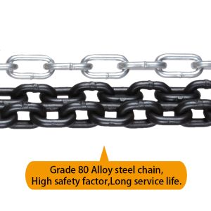 0.25-50Ton Capacity Chain Hoist for Smooth Lifting 1/2 Chain Fall 3 Meters