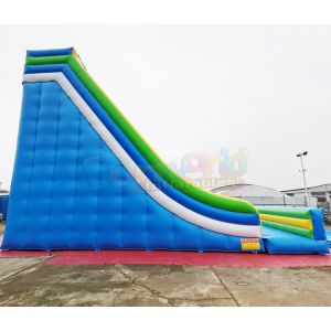 Customized Size PVC Tarpaulin Commercial Inflatable Slide