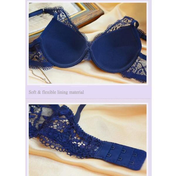 Factory Wholesale Sexy Underwire Elastic Lace Strap Adjustable Bra Sets