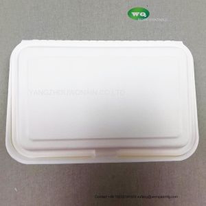 9x6 Inch(715ml) Sugarcane Clamshell Biodegradable Bento Lunch Box-Eco Friendly,