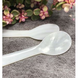 Natural Mother Of Pearl Caviar Spoon