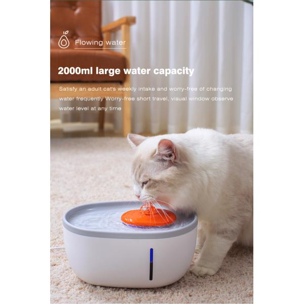 Pet Feeder Automatic Water Dispenser Avocado Shaped 4 Layers Filter Blue Light