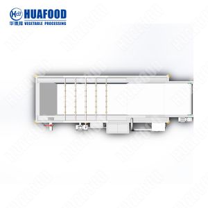 Professional Bubble Cleaning Machine Fruit Washing Processing Line With Ce