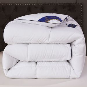 Hilton Duvet Double Spring Autumn Winter Quilt Core and Hot Style for Micro